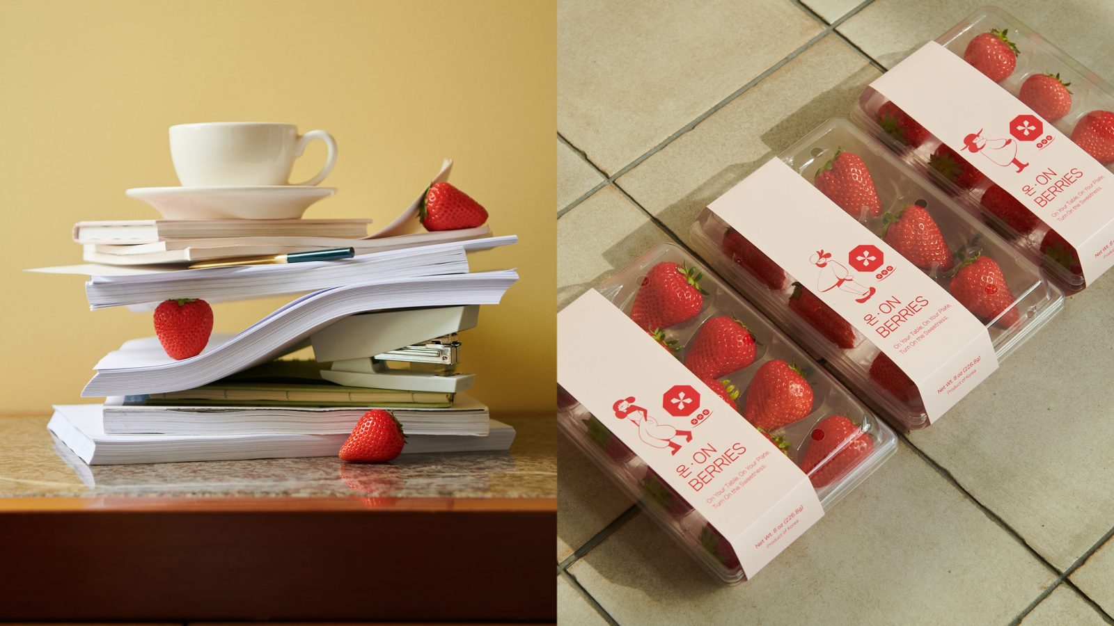 ?brizy media=wp b5d30e95e2c2eef61a86ecb5619c7f35