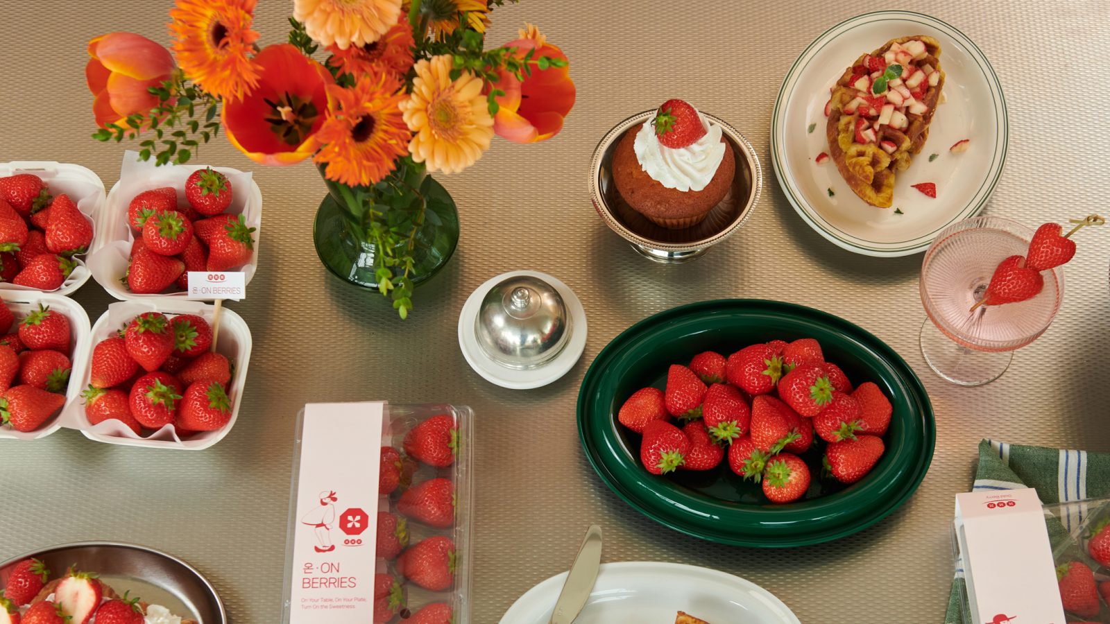 ?brizy media=wp ea7e805418f40bc44867ce6c387e204a